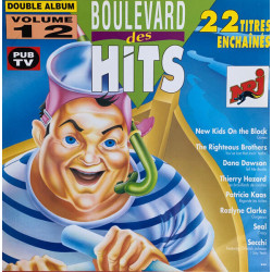 Boulevard Des Hits Volume 12