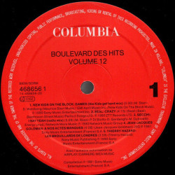 Boulevard Des Hits Volume 12