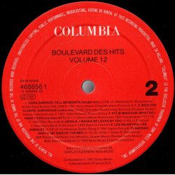 Boulevard Des Hits Volume 12