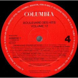 Boulevard Des Hits Volume 12