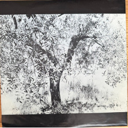 Horses And Trees