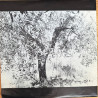Horses And Trees