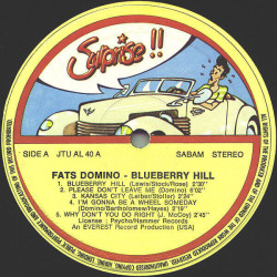 Blueberry Hill