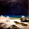 Tales From Topographic Oceans