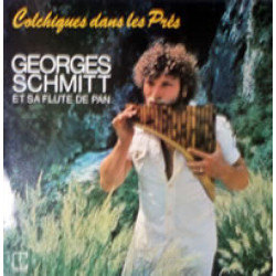 Colchiques Dans Les Prés