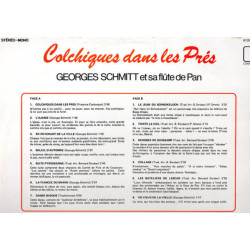 Colchiques Dans Les Prés