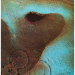 Meddle