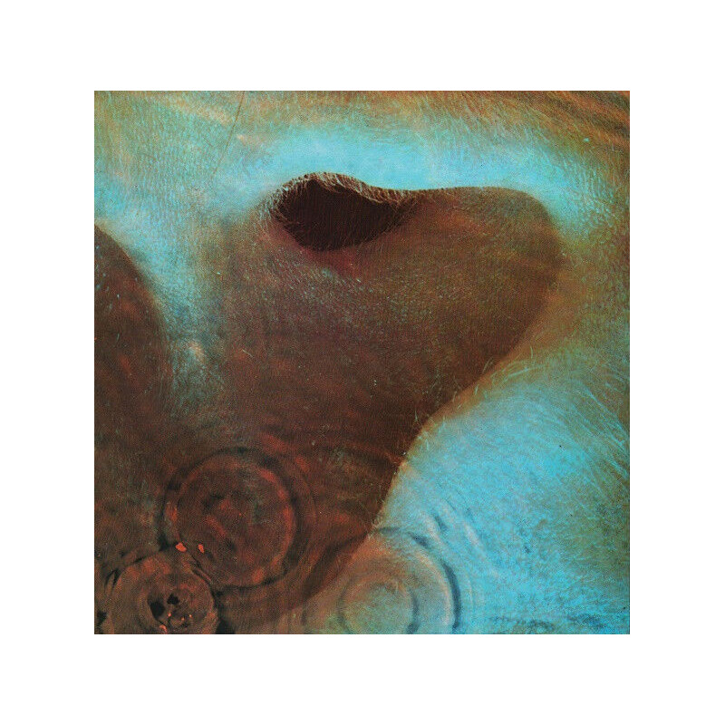 Meddle