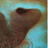 Meddle