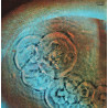 Meddle