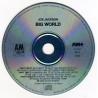 Big World
