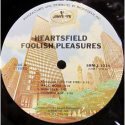 Foolish Pleasures