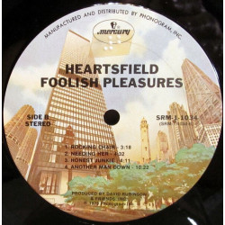 Foolish Pleasures