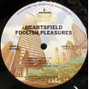 Foolish Pleasures