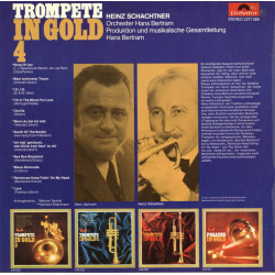 Trompete In Gold 4
