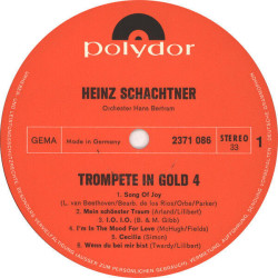 Trompete In Gold 4