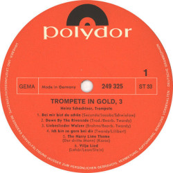 Trompete In Gold 3