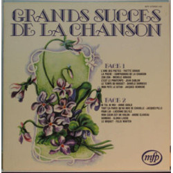 Grands Succès De La Chanson