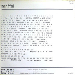 Microgroove