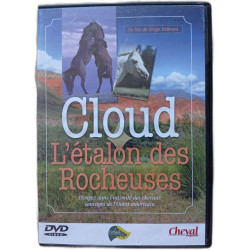 Cloud l'étalon des Rocheuses