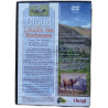 Cloud l'étalon des Rocheuses