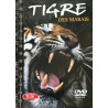 Tigre des marais