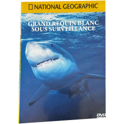 Grand requin blanc sous surveillance