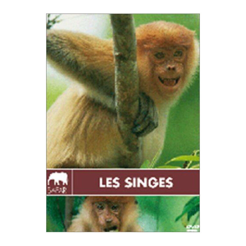 Les Singes - Neuf sous blister