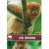 Les Singes - Neuf sous blister