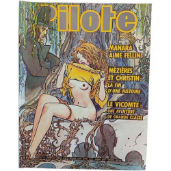 Pilote N.117 - Février