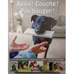 Napoléon et la Légion d'honneur