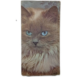 Le livre des CHATS