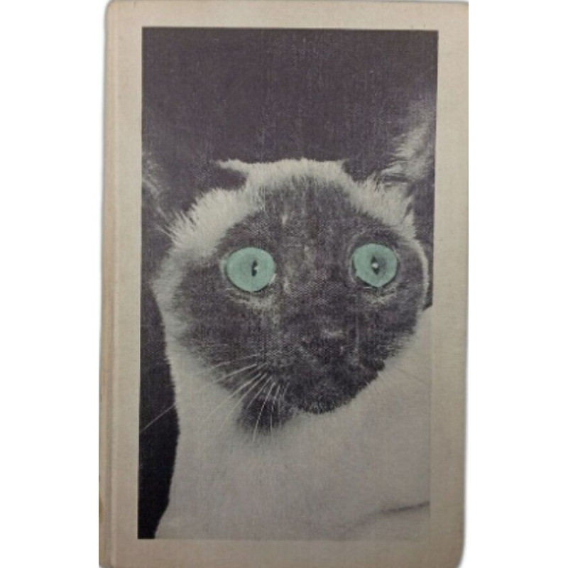 Les chats dans le beffroi