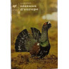 Oiseaux d'Europe