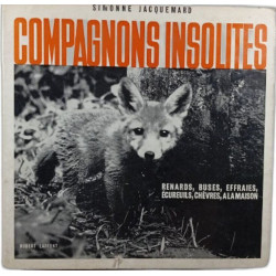 Compagnons insolites