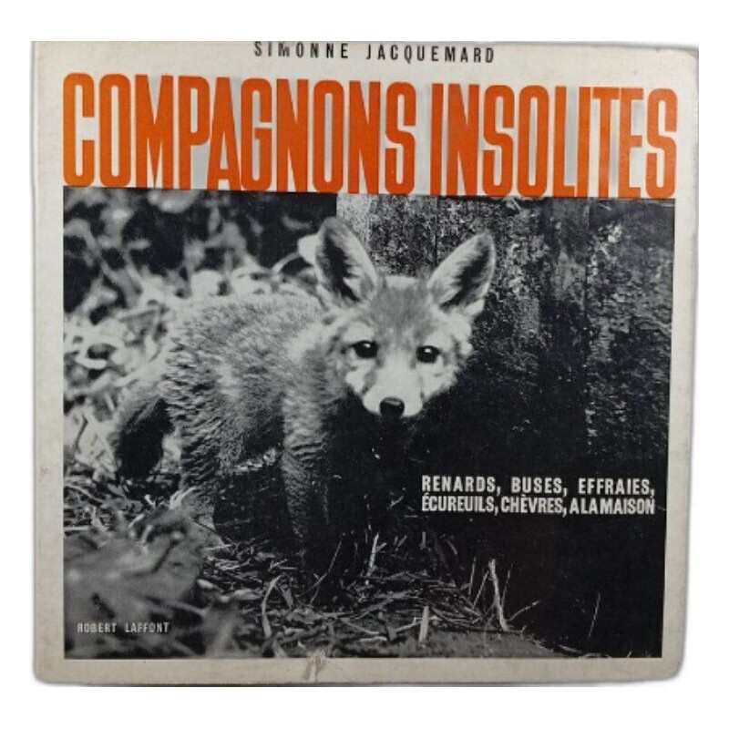 Compagnons insolites