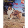 Le Colley ou Berger d'Écosse