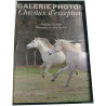Chevaux d'exception