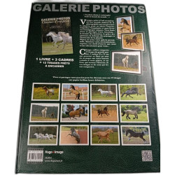 Chevaux d'exception