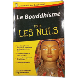 Le Bouddhisme pour les Nuls