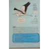 La hulotte n°67