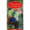 Les plantes d'intérieur