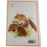 Animaux des forêts