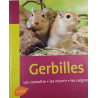 Gerbilles