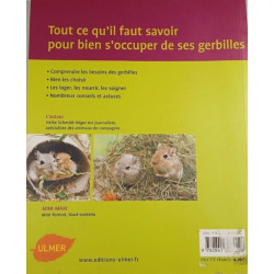 Gerbilles