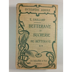 Betterave et sucrerie de betterave