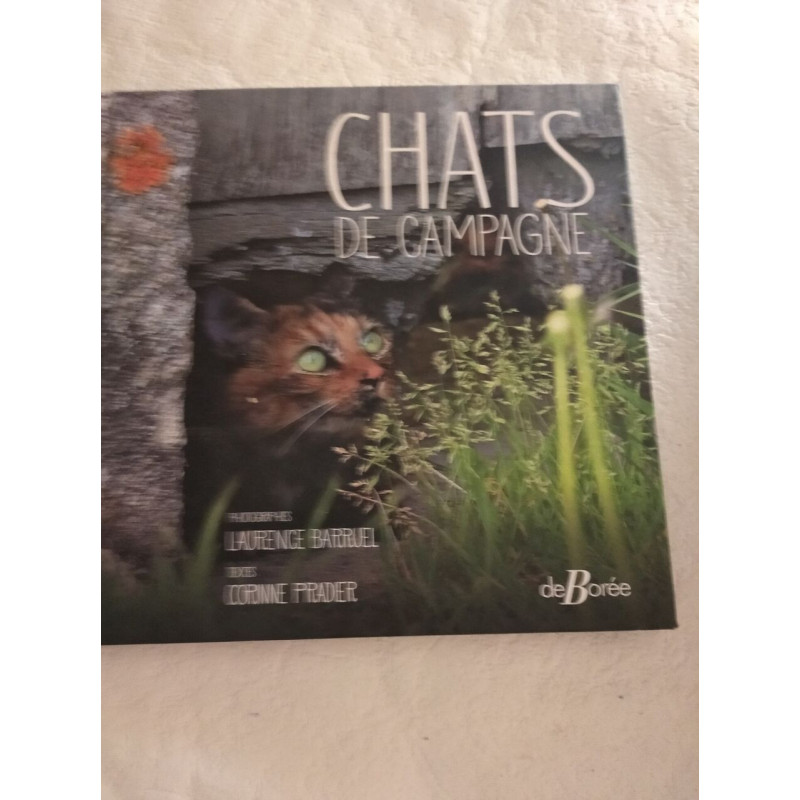 Chats de campagne