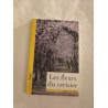 Les fleurs du cerisier
