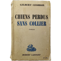 Chiens perdus sans collier