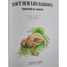Tout sur les saisons